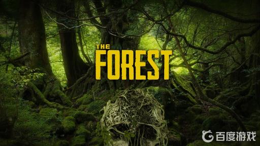 森林信号枪在哪?1