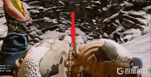 森林天坑下去之后怎么走?3