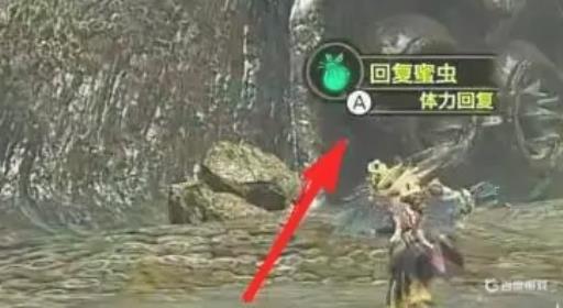 怪物猎人崛起单手剑怎么打雷神龙?5