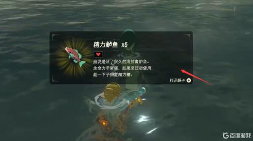 塞尔达被冲走的妻子在哪?8