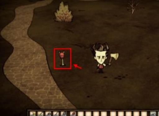 饥荒切斯特眼骨放在哪里不见了?2