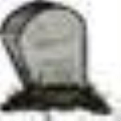 墓地区域有什么特性?2