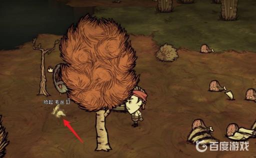 饥荒毛丛在哪打?2