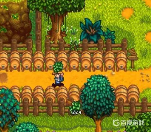 星露谷物语啤酒花怎么酿酒?6