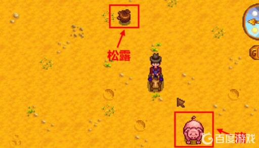 星露谷松露油怎么做?2