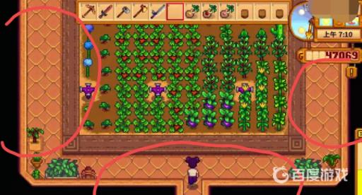 星露谷物语温室为啥种不了东西?3