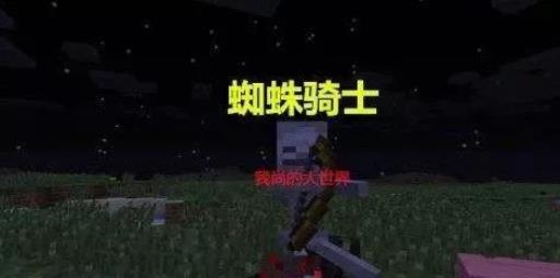 mc最稀有的十种骷髅是啥?2