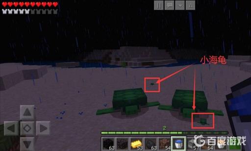 mc海龟碎片怎么收集?2