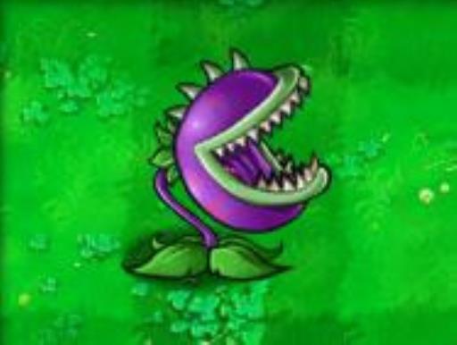 植物大战僵尸植物的用法是什么?7