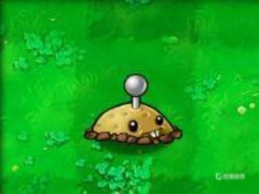 植物大战僵尸1植物顺序表是什么?5