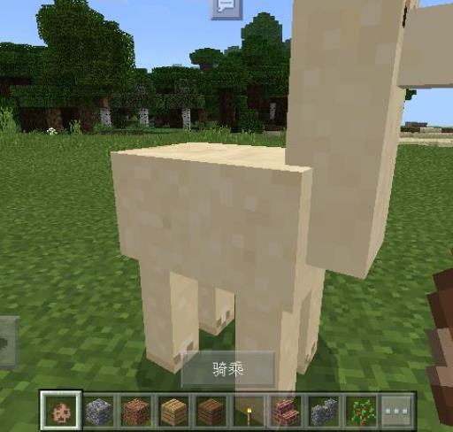 我的世界羊驼怎么驯服怎么骑?3