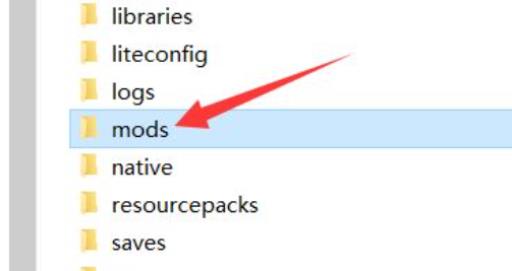 我的世界java版怎么加mod?4
