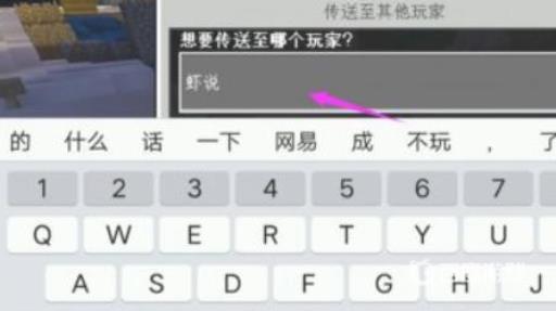 我的世界花雨庭怎么组队?8