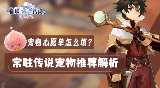 仙境传说爱如初见宠物推荐1