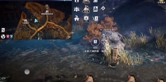 黑色沙漠卡亚之湖知识攻略6