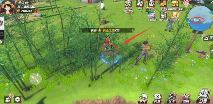 航海王热血航线长环岛的宝藏攻略1