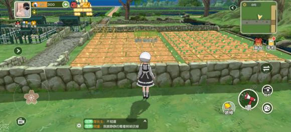 小森生活懒人攻略2