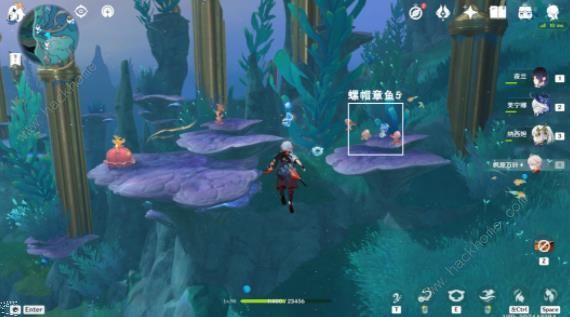 原神旧日之海10个螺帽章鱼解谜攻略6