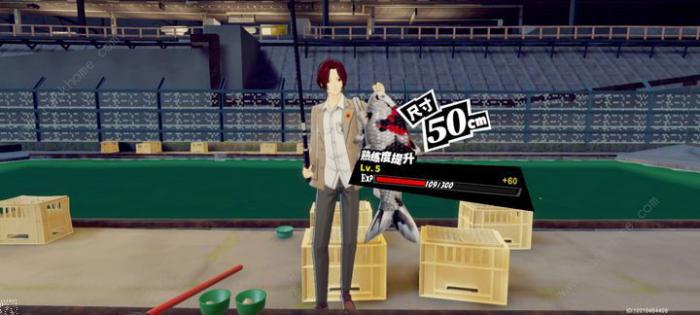 女神异闻录夜幕魅影钓鱼攻略3