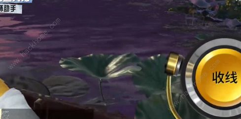 欢乐钓鱼大师大型鱼类怎么钓4