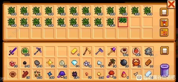 星露谷物语活的帽子怎么刷_星露谷物语做帽子