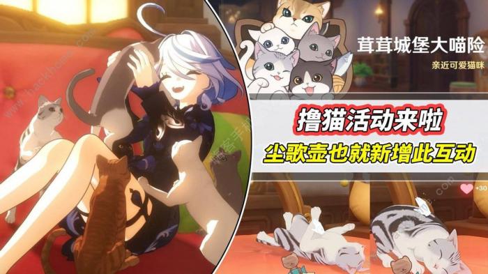 原神茸茸城堡大喵险奖励多少原石_原神茸茸城堡大喵险第三天