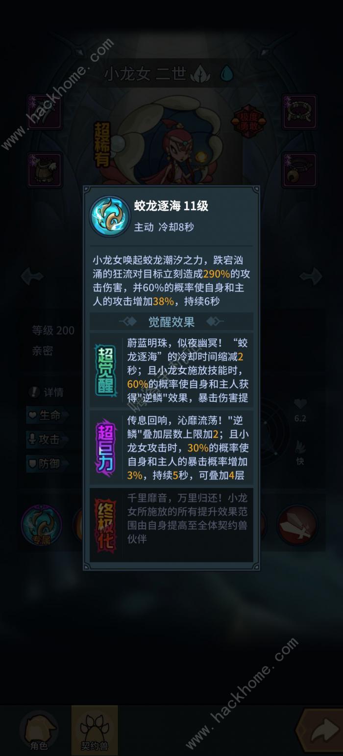 提灯与地下城新区选什么宠物好2