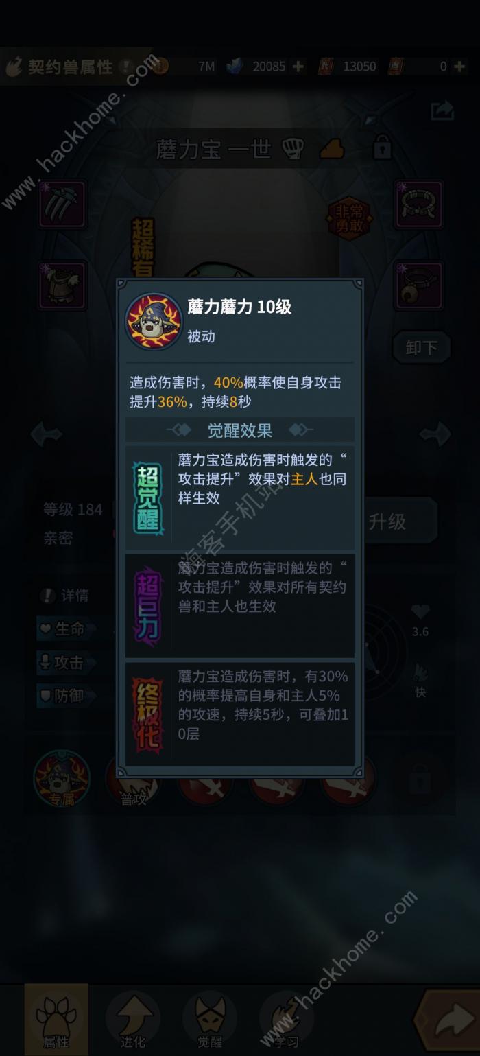 提灯与地下城新区选什么宠物好7