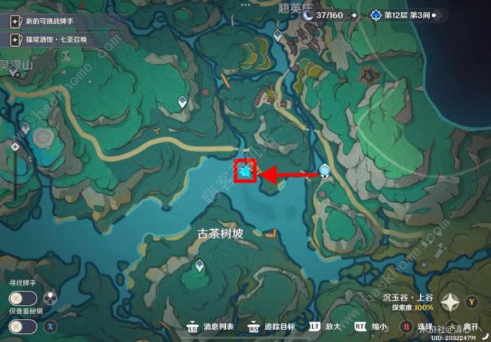 原神碧水从游成就攻略7