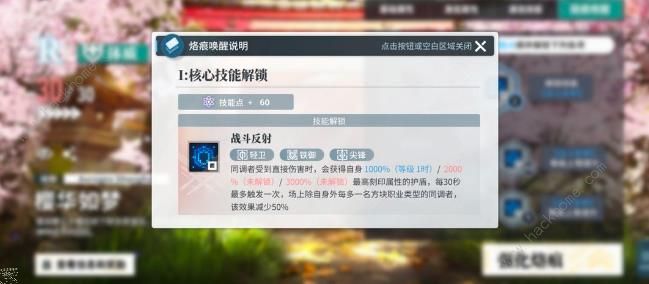 白荆回廊升级护盾流怎么搭配8