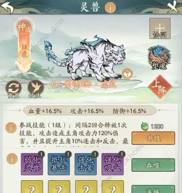 寻道大千白虎反击流怎么搭配_寻道大千白虎洗练什么技能最好