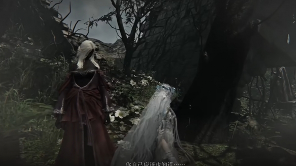 艾尔登法环黑夜君临支线全攻略80