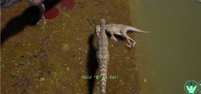 恐龙岛怎么把肉带走3