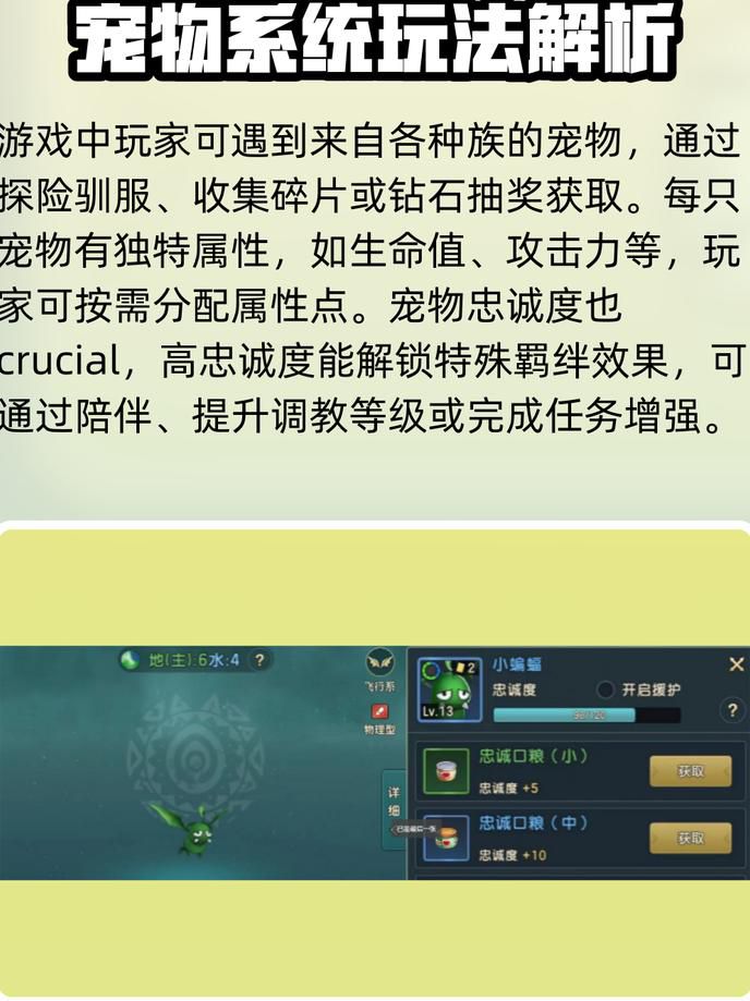 魔力宝贝宠物忠诚度怎么提升3