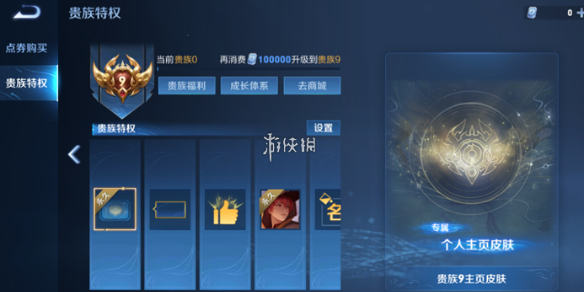 王者荣耀贵9充值金额_王者荣耀贵9充多少钱