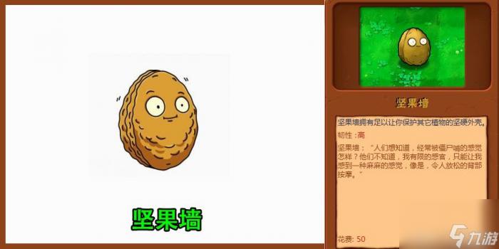 植物大战僵尸最强防御植物top52