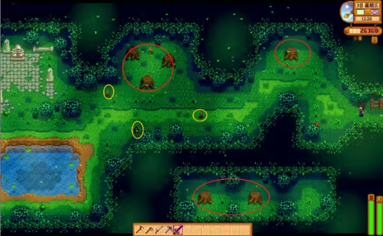 星露谷物语怎么获得硬木种子2