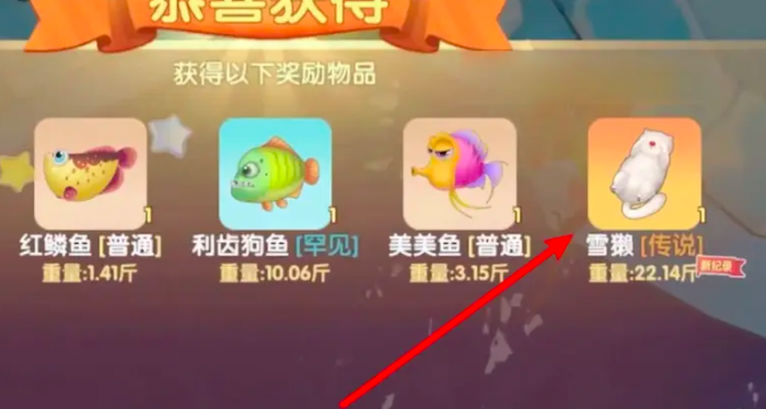 摩尔庄园雪獭怎么钓2