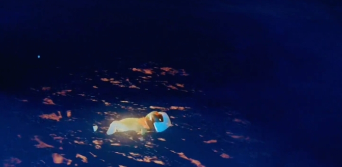 光遇躲猫猫怎么玩的1