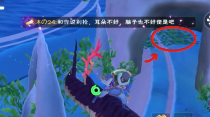 创造与魔法龟壳哪里有2