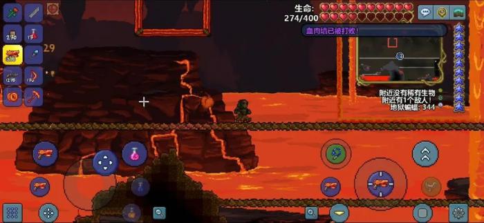 泰拉瑞亚丛林生命果如何获取2