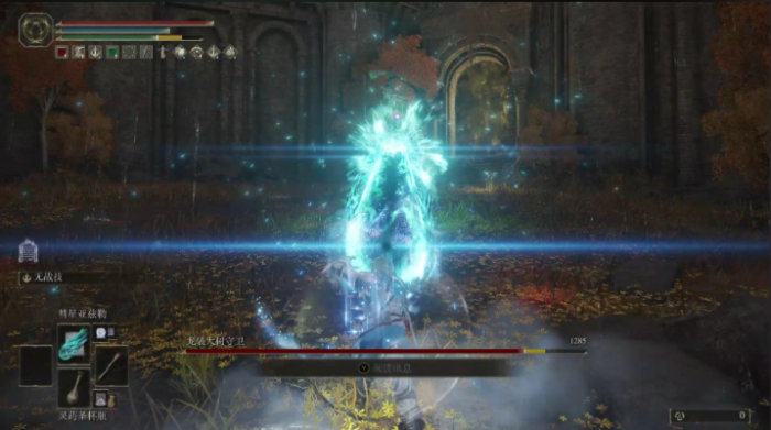 艾尔登法环法师选什么职业3