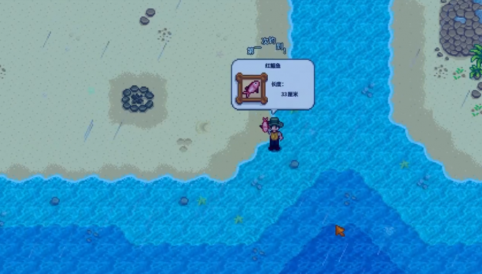 星露谷物语夏天雨天有什么特殊鱼1