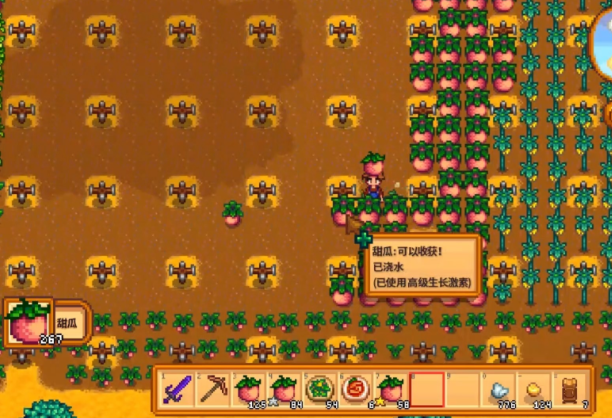 星露谷物语夏天需要做什么1