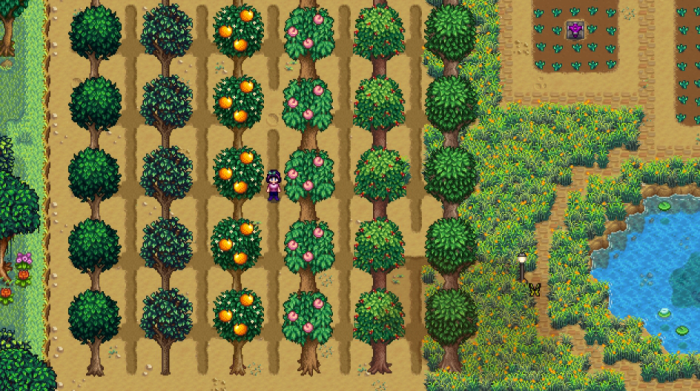 星露谷物语种什么果树最好3