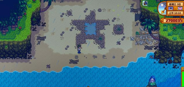 星露谷物语姜岛需要带什么3