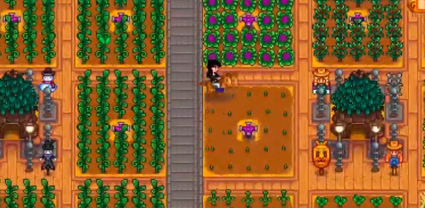 星露谷物语如何更好的开荒2