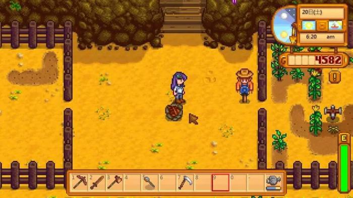 星露谷物语夏天能种什么2