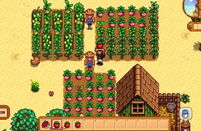 星露谷物语夏天该种什么2